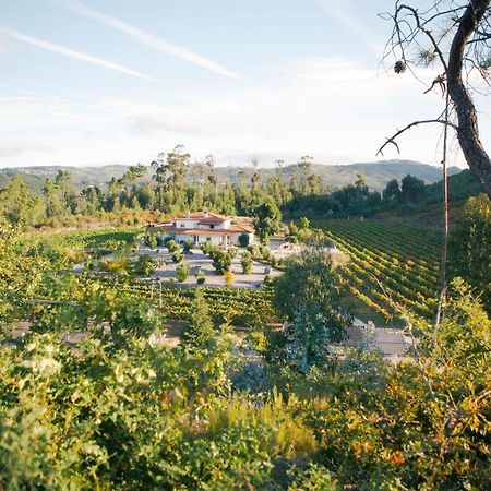 Quinta Da Paixao - Bed & Breakfast Pedraca 외부 사진