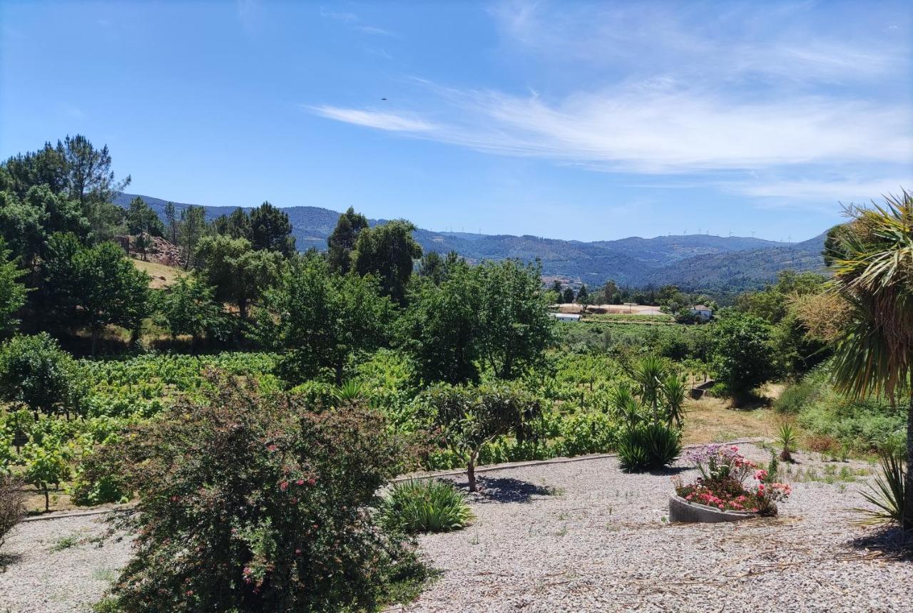 Quinta Da Paixao - Bed & Breakfast Pedraca 외부 사진
