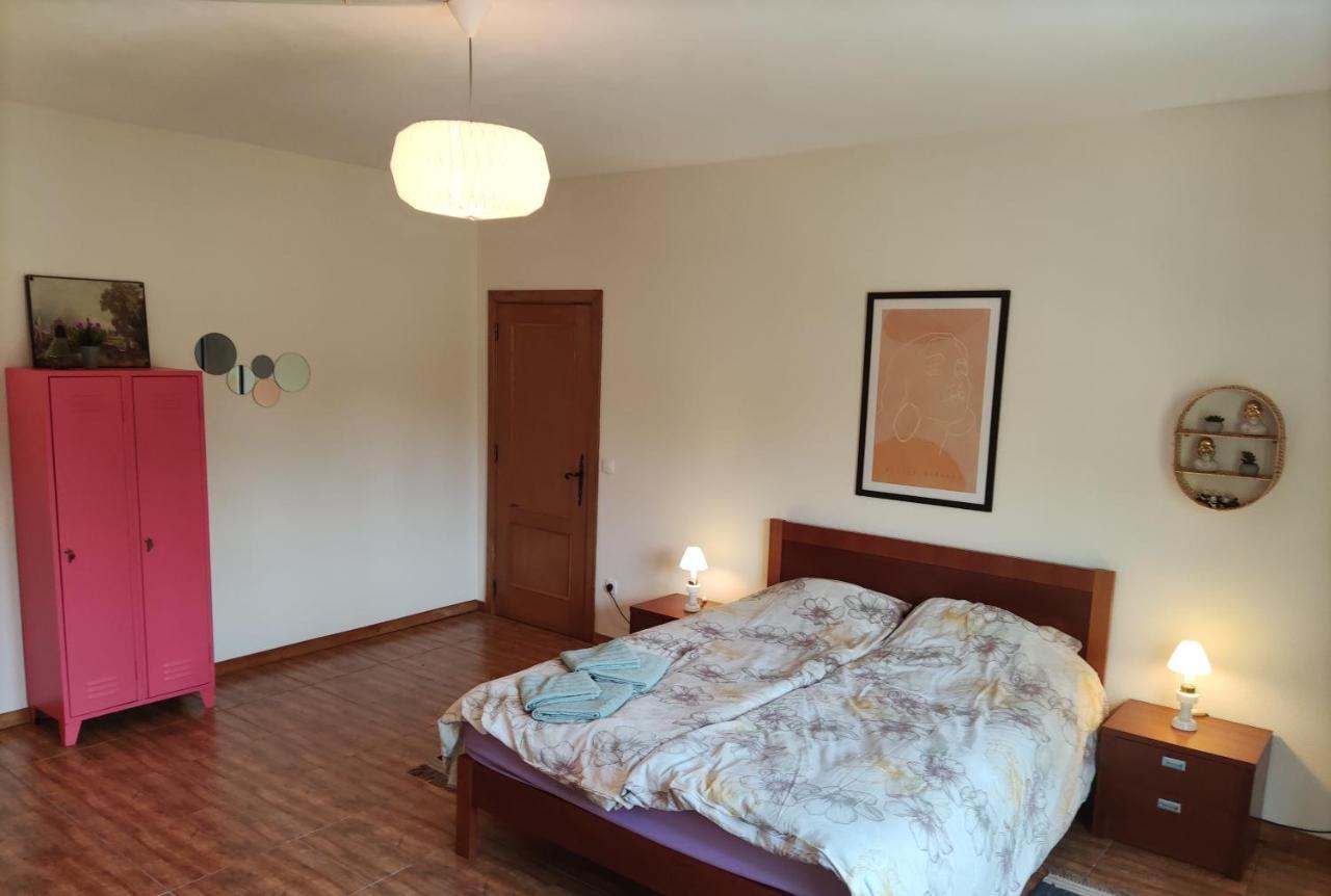 Quinta Da Paixao - Bed & Breakfast Pedraca 외부 사진