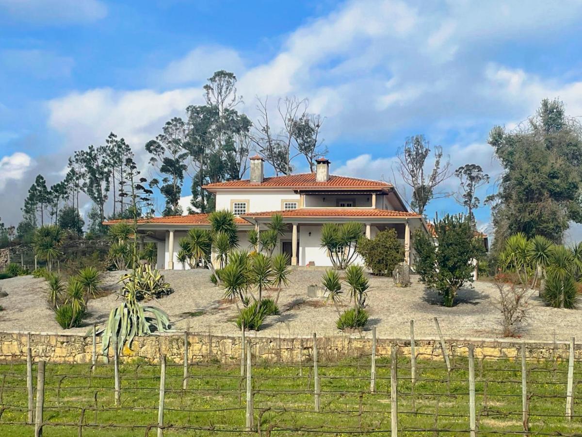 Quinta Da Paixao - Bed & Breakfast Pedraca 외부 사진