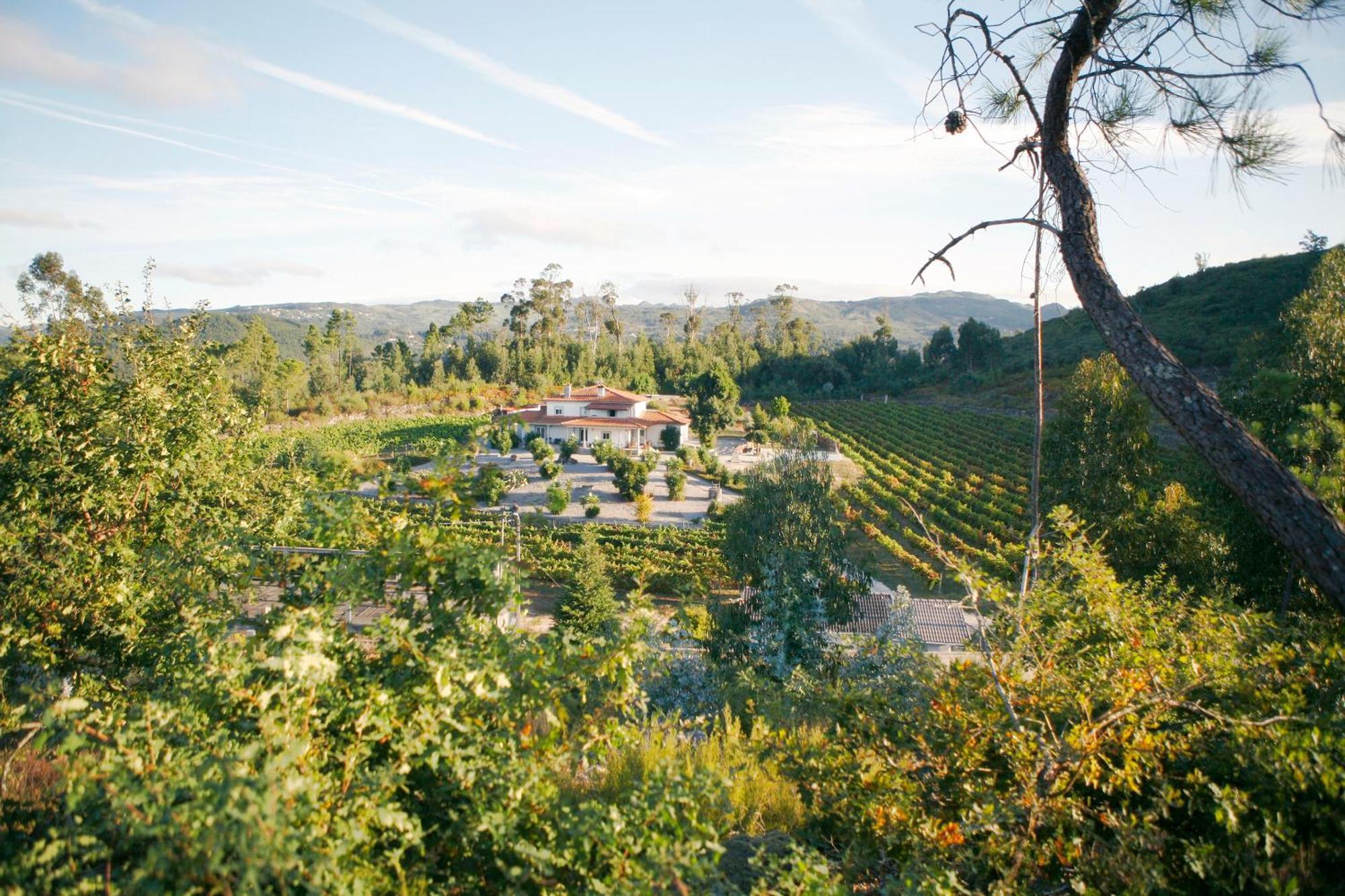 Quinta Da Paixao - Bed & Breakfast Pedraca 외부 사진