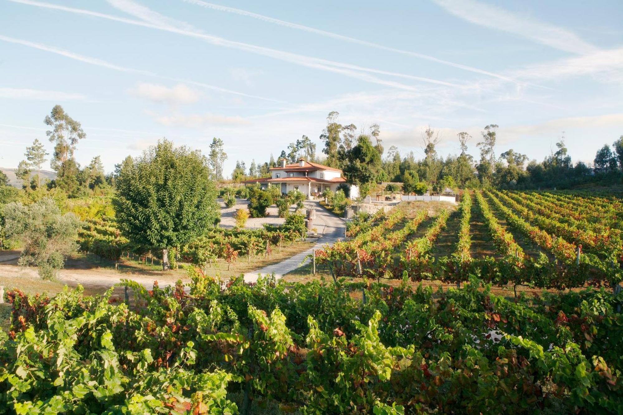 Quinta Da Paixao - Bed & Breakfast Pedraca 외부 사진